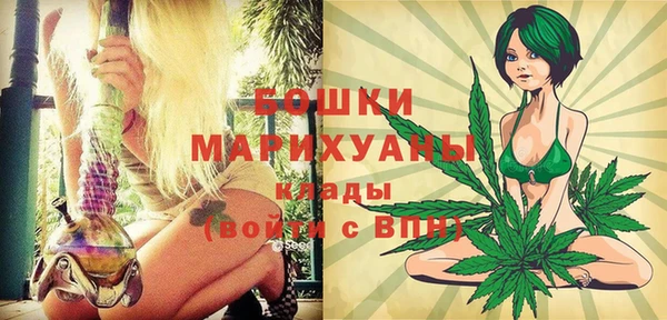 дмт Мегион