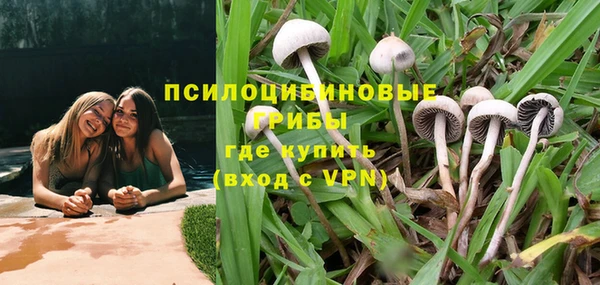 дмт Мегион