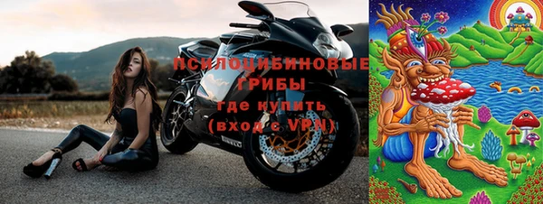дмт Мегион