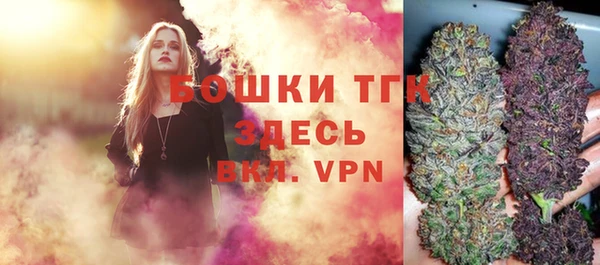 дмт Мегион