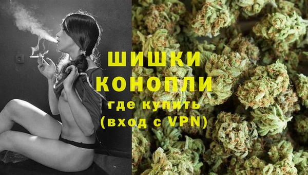 дмт Мегион