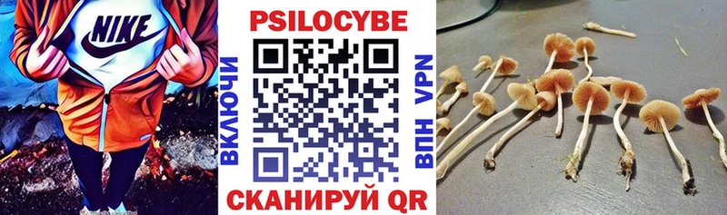 наркотики  маркетплейс какой сайт  Галлюциногенные грибы Psilocybine cubensis  Неман 
